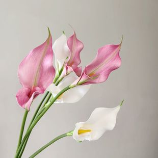 Factory Direct sales EVA double-headed New feel Taro Calla Lily artificial flower wedding decoration floral artificial flower accessories
