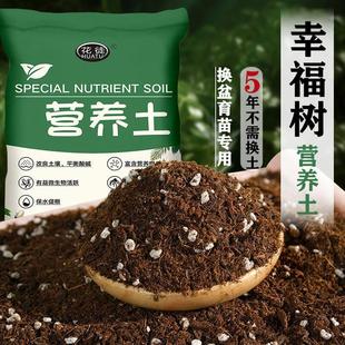 Happy Tree Nutrient Soil for Flower Raising and Seedling Universal Loose Breathable Special Soil Organic Soil Old Pile Soil Acidic