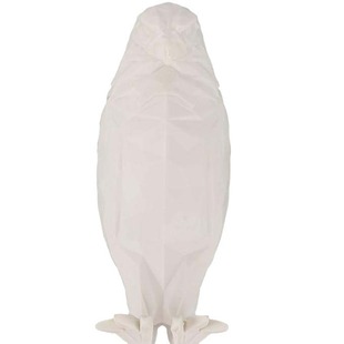 Трансграничный взрыв 3D Eagle Wall Sconce LED Сова ястреб ночной свет украшения настенный свет