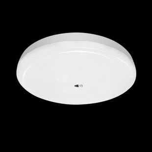 Ultra-thin human body induction ceiling lamp 12w18w bedroom lamp aisle lamp balcony lamp corridor kitchen panel lamp voice control
