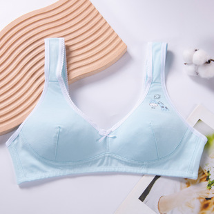 Girls' Underwear Student Development Girls' Vest Junior High School Students High School 12-18 Years Old Cotton Thin Big Children Bra