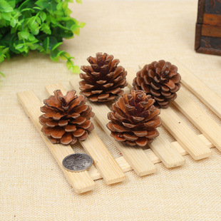 Creative ornaments shooting props dried flower pine cone handmade DIY material 1-15CM pine cone Christmas decorations pendant