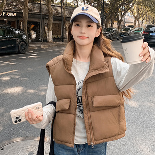 Autumn and Winter Down Cotton Vest Women's Short Outer Wear 2024 New Korean Style Vertical Collar Vest Warm Waistcoat