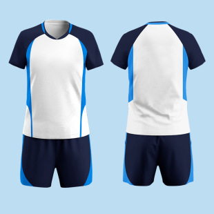Volleyball Clothing suit Women's Competition Uniform Air Volleyball Sports Men's Professional Short-sleeved Training Clothing Printed Number