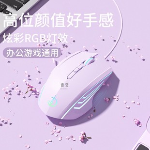 Dell office dedicated machinery silent application mute universal game Lenovo HP mouse wired e-sports
