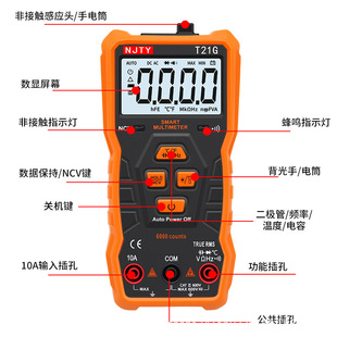 Nanjing Tianyu T21G Household Digital Multimeter Automatic Range Anti-burn Portable Small Digital Display Electrician