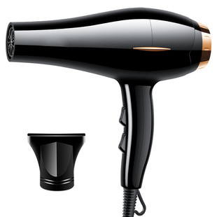 Blue light negative ion fan household high-power barber shop quick-drying hair care cold and hot air student dormitory wholesale