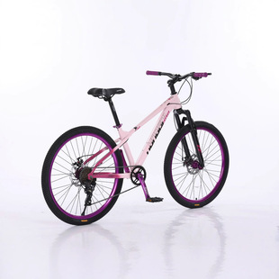 Factory Student Mountain Bike Off-road Double Disc Shock Absorption Variable Speed Mountain Bike Bicycle Teenager Soil Slope Complete Vehicle