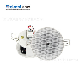Dekesi/Dex-Broadcast Conference Engineering-D-133-ceiling speaker