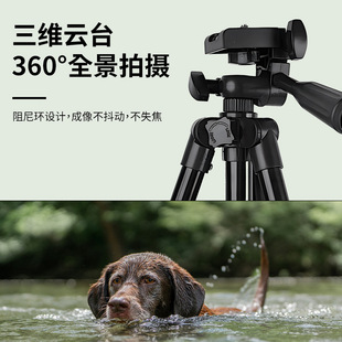 DSLR камеры штатив на земле в прямом эфире артефакт tripod31203110 мобильный телефон кронштейн проектор штатив