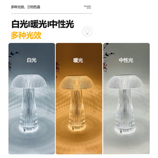 Modern Simple Crystal Table Lamp Mellon Lamp Atmosphere Lamp Bedside Advanced Sense Transparent Night Light Streamed Dimmable