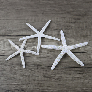 Factory direct natural finger starfish 5-25 PCT five-finger starfish shell window display white Mediterranean jewelry
