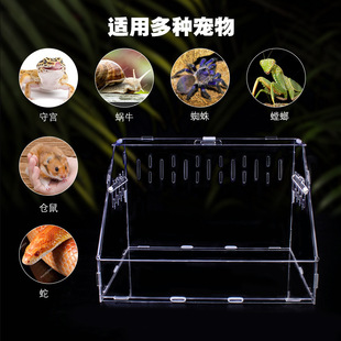 Factory direct acrylic rutin chicken feeding box reptile pet turtle lizard pet mantis transparent feeding box