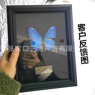 Butterfly specimen metal nameplate photo frame specimen box decorative material with adhesive can be torn apart directly paste 5x2cm