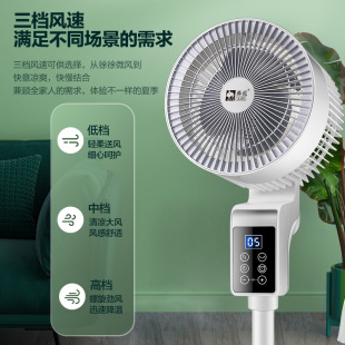 Camel air circulation fan