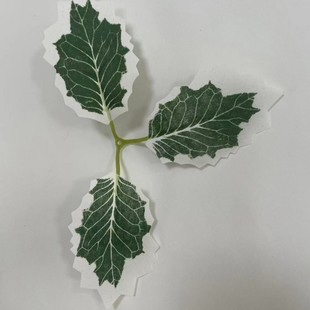 Christmas leaf simulation silk screen printing 3 leaves with white edge Christmas leaf golden leaf accessories manufacturers in stock supply leaves