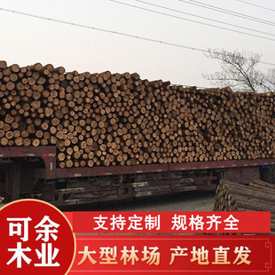 Wholesale Custom-Made Piling Wood Factory Direct Sales Log Piling Wood Construction Site River Embankment Fir Pile Slope Protection and Reclamation Wood Pile