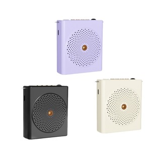 New cross-border bee megaphone teacher tour guide sells megaphone bluetooth card USB disk computer player