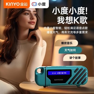 Jinyun K13 микрофон аудио встроенный микрофон Домашний Беспроводной Bluetooth Национальный Поющий артефакт детская семья KTV