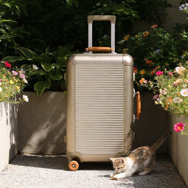 New Model Pc Aluminum Frame Trolley Suitcase 24inch Anti-Drop Travel Suitcase Password Lock High-End Leather Suitcase 20-Inch Women's Hot-Selling
