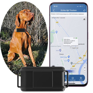 Tk919 4g Gps Tracker Pet Hunting Dog Locator Real-Time Positioning Foreign Trade