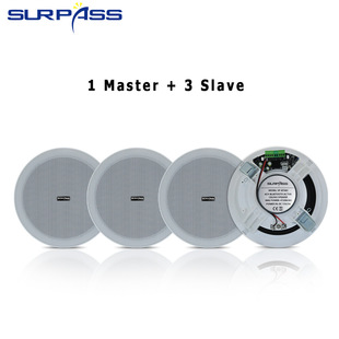 SURPASS source factory direct high quality full frequency speaker active wireless ceiling Bluetooth speaker Wireless
