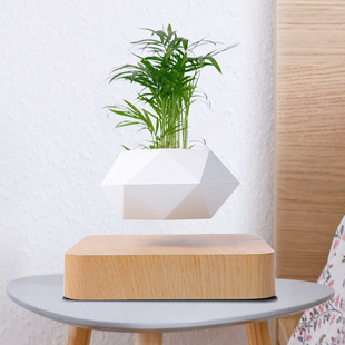 Амазонка магнитная левитация горшок творческий Бонсай DIY цветочный горшок подвесной воздушный горшок Внешняя торговля поставки украшения оптом