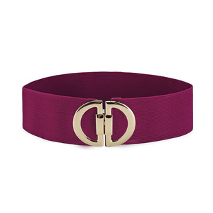 Simple Buckle Belt Women's Decorative Waist Seal with Skirt Vintage Elastic Wide Belt All-match Simple Belt