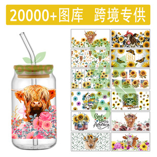 Highland Cow Highland Bull UVDTF Cup наклейка хрустальная этикетка 16oz Cup наклейка Amazon трансграничная эксклюзура
