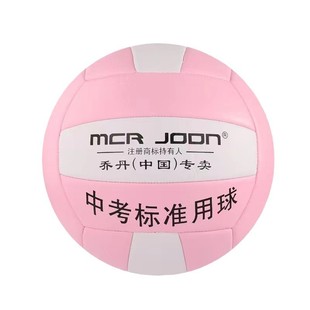 Wholesale Thickeneded No. 5 Volleyball High School Entrance Examination Logo College Students Junior High School Students Primary School Students Kidsren Outdoor Training Machine Sewing Ball