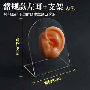 Silicone Ear Model Fake Earphones Display Ear Studs Earrings Hearing Aid Acupuncture Exerciser Ear Picked Teaching