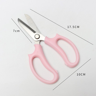 Floral scissors round head household stainless steel flower shop scissors flower arrangement scissors rose scissors floral artist training scissors