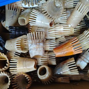 Wholesale horn shampoo comb angle tip shampoo comb head massage point pulling tendon head treatment comb