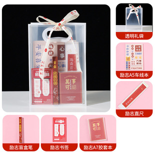 Children's Day Birthday Primary School Pupils Return Ritual Feeling Accompanying Gift Ten-year-old Boys and Girls Kindergarten Rewards