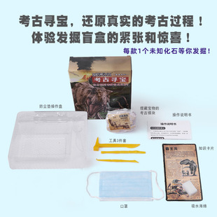Archaeology Children's Toys Terracotta Bronze Dinosaur Fossils Treasure Ancient Jade Museum Digging Handmade DIY Blind Box