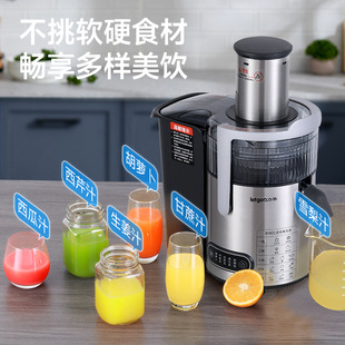 Liguo juicer commercial celery ginger juicer hotel juicer juice residue separation large juicer high power