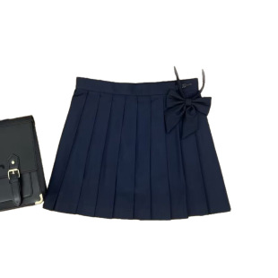 Black Pleated Skirt for Women Summer 2025 New High-Waist Slimming Look A-Line Skirt Wholesale Manufacturer Jk Pleated Skirt