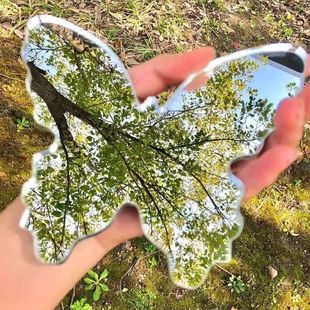 Четыре сезона весна, лето, осень и зима, чтобы сфотографировать артефакт, косметическое зеркало, акрилное зеркало бабочки, портативное артефакт