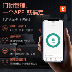 Face recognition automatic smart lock villa door TuyaWifi remote control home camera HD factory