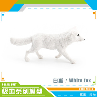 Factory Direct sales simulation polar animal suit polar bear white whale seal white seal static decorative model toy