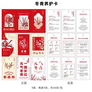 Flower packaging phalaenopsis maintenance card pot decoration card bouquet packaging flower shop supplies material wholesale