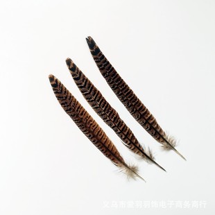 Mother pheasant tail feather chicken tail hair headdress feather costume feather dream catcher feather DIY feather