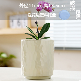 Wholesale Flower Pot Ceramic with Tray Household Ins Style Accessible Luxury Succulent Flower Pot Drop Shipping Temu Labeling