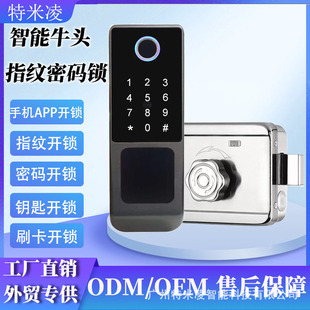 Old-fashioned iron door fingerprint lock password lock security door stainless steel door cow head lock multi-language graffiti smart