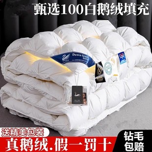Cotton twisted flower duvet 95 white goose down spring and autumn quilt thickened warm winter quilt hotel quilt core wholesale