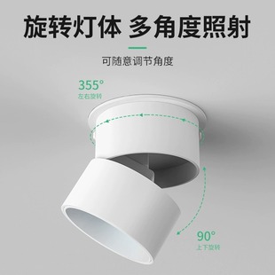 Open-mounted spotlight, sun-proof spotlight, wall-washing adjustable angle, household living room entrance photo painting, wall lamp, shop lighting