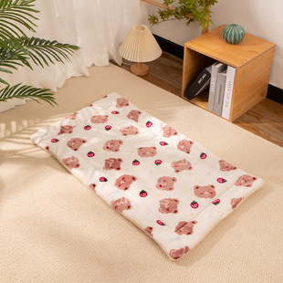 Pet Litter Cat Flannel Cushion Blanket Autumn and Winter Thickened Warm Cover Cushion Dog Litter Pet Supplies