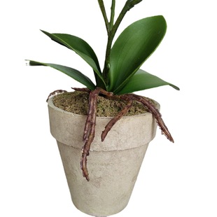 Simulated Soft Rubber Butterfly Orchid Bonsai Living Room Decoration Cafe Bar Accessories Pulp Pot Scandinavian Plant Potted Plant