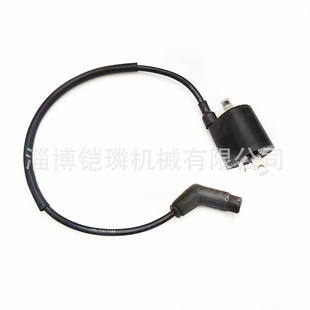 Linhai 260 beach car farmer car high voltage package 22012