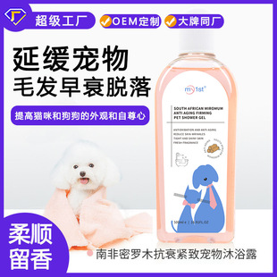 Dog shower gel to remove smell lasting fragrance than bear teddy cat bath shampoo pet store supplies
